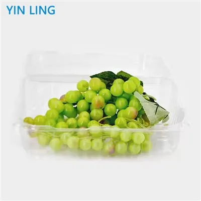 གྷྲེཔ་ གྱིབ་ཤོག་བཀག་སྡོམ་པ།